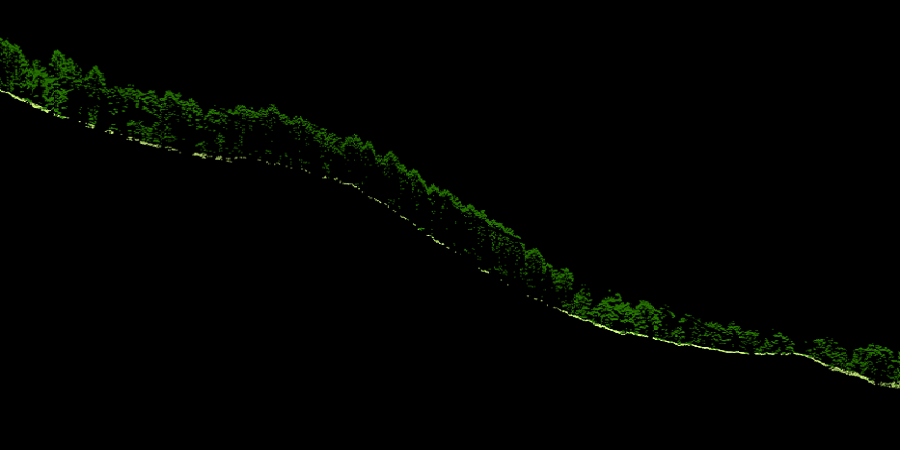 LiDARによる森林の3次元計測